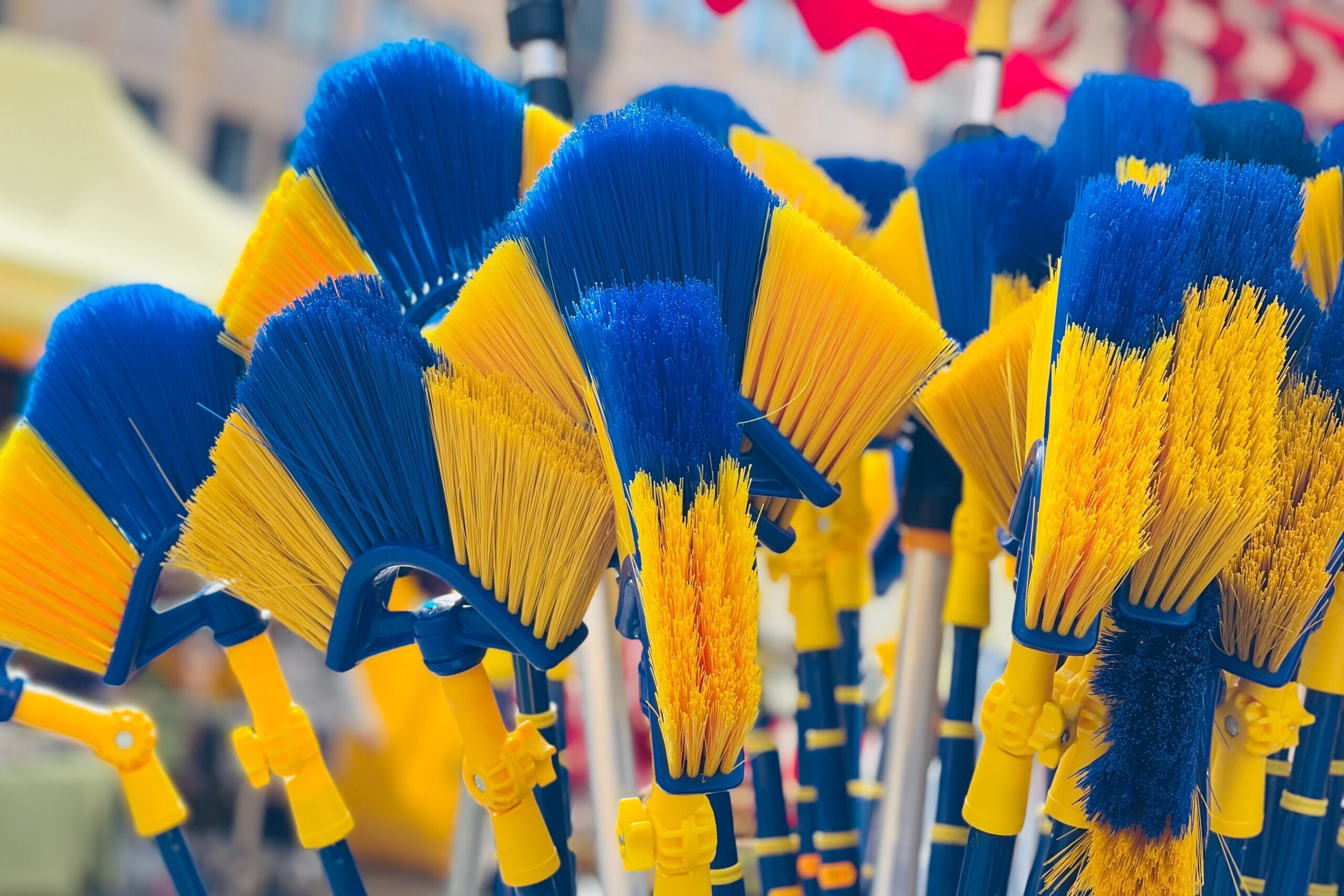 Brooms and Mops